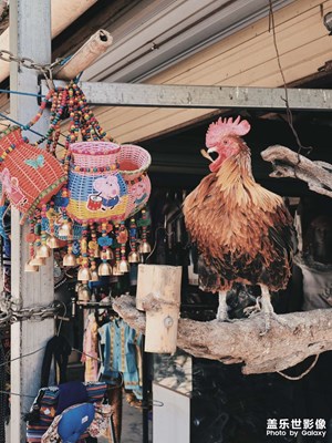 【行摄正月里】+曼掌村