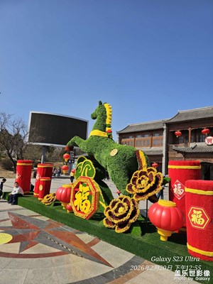 【行摄正月里】+正月随拍