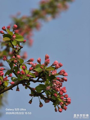 【行摄正月里】+春风十里