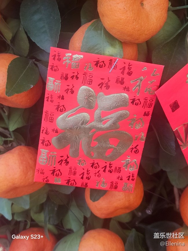 【福满新岁】赴海山登高塔