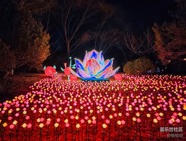 三星星粉嘉年华济南新年花灯游记