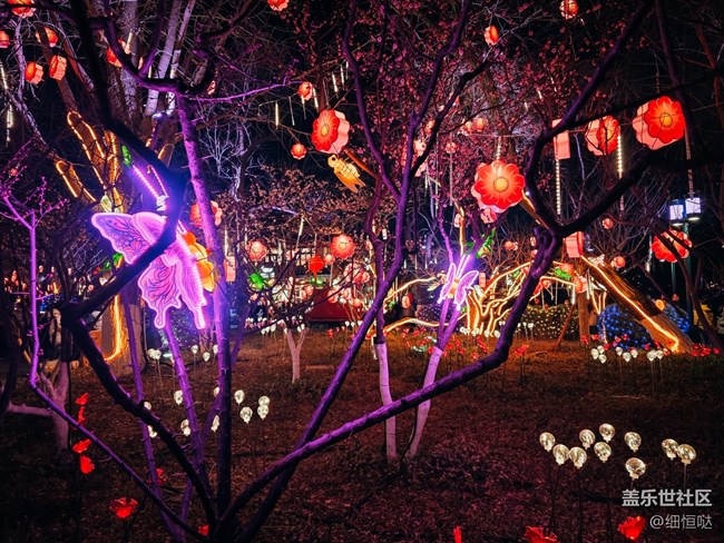 三星星粉嘉年华济南新年花灯游记