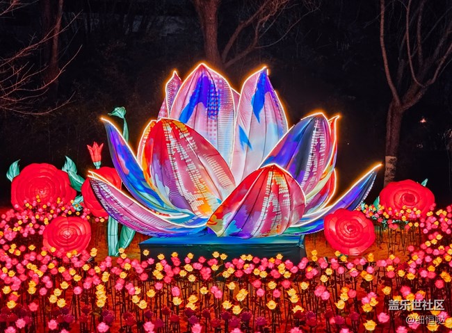 三星星粉嘉年华济南新年花灯游记