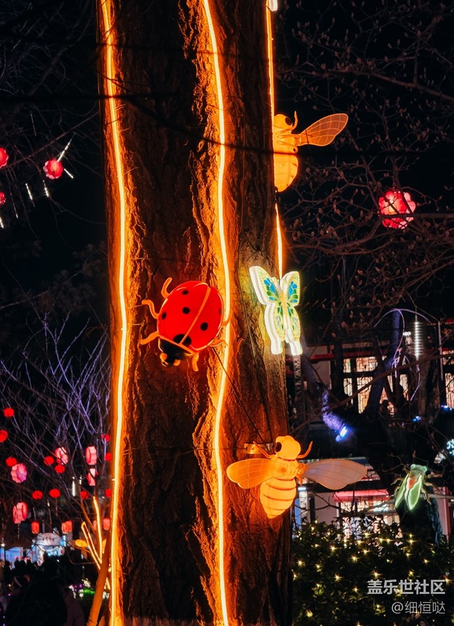 三星星粉嘉年华济南新年花灯游记