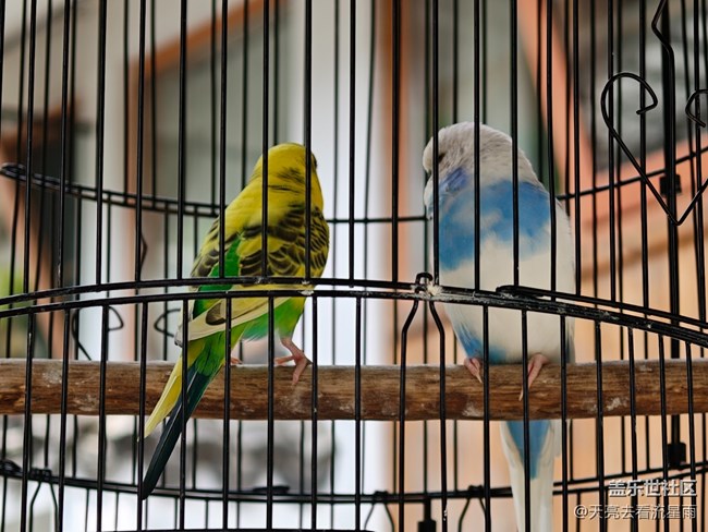 【早春二月】生机的季节