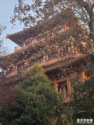 【行摄正月里】诗意美景