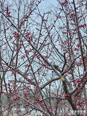 【行摄正月里】都没人了