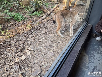 【行摄正月里】逛动物园