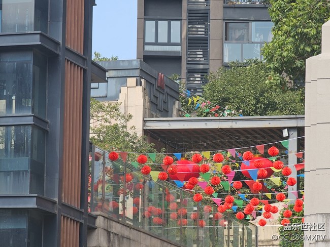 【福满新岁】新年