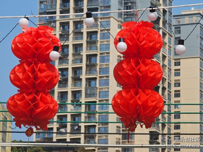 【春节符号】新年新气象