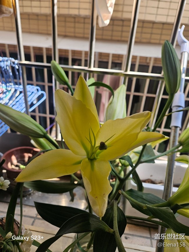 【昆明星部落】+光影年味