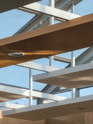 【摄影版块三月第二周】简拍