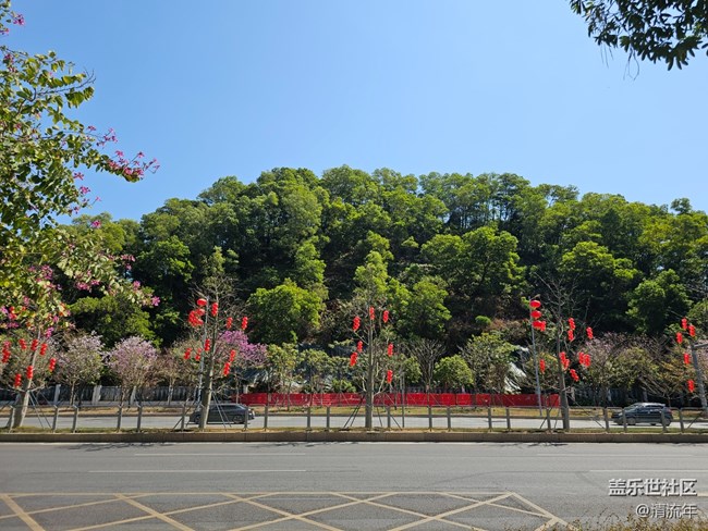 【福满新岁】年年有余