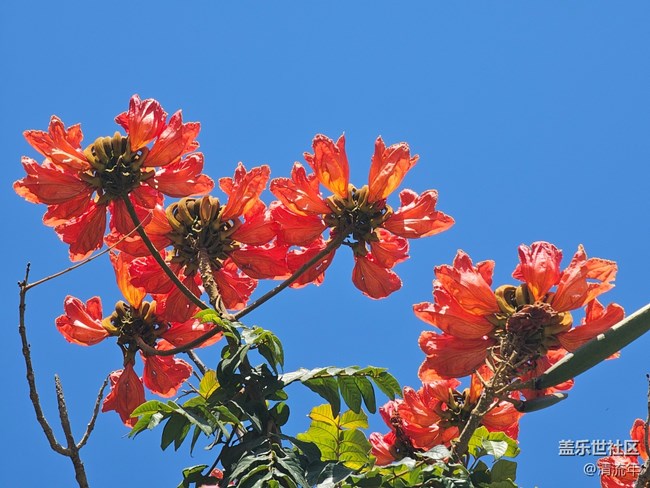 【春节符号】节日里