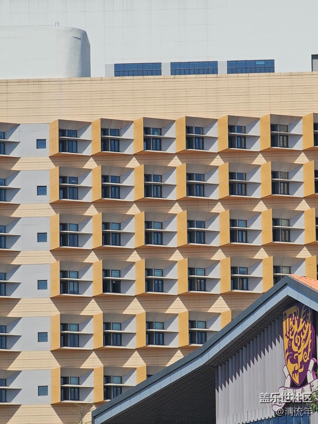 【春节符号】有花开