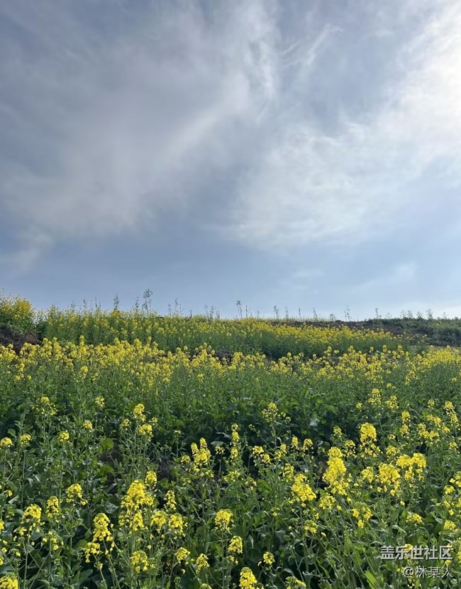 【旅途瞬间志】看花去
