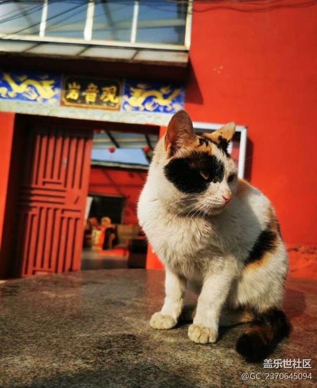【旅途瞬间志】黄梅一日游