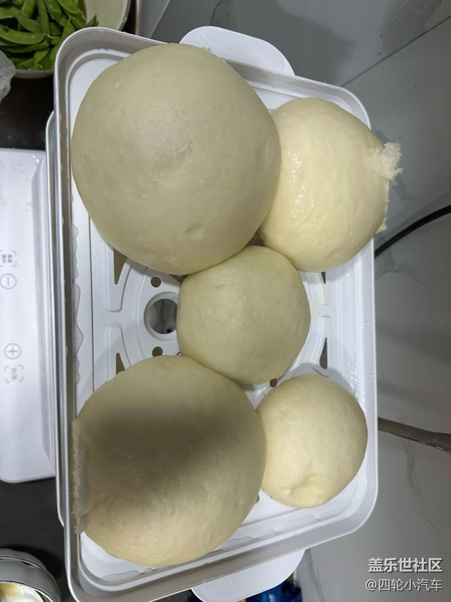 【人间知春味】做馒头