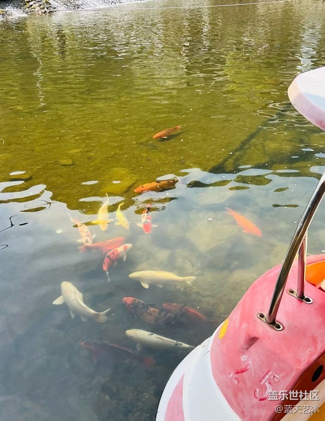 【旅途瞬间志】出去玩