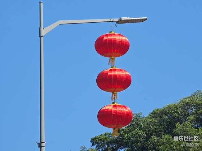 【福满新岁】年年有余