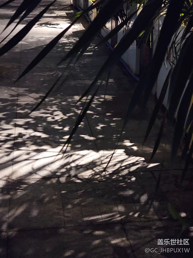 【春节符号】 红灯笼