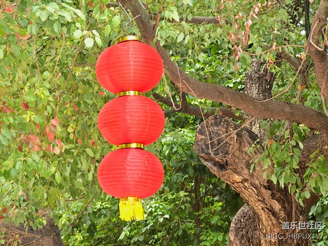 【春节符号】 红灯笼