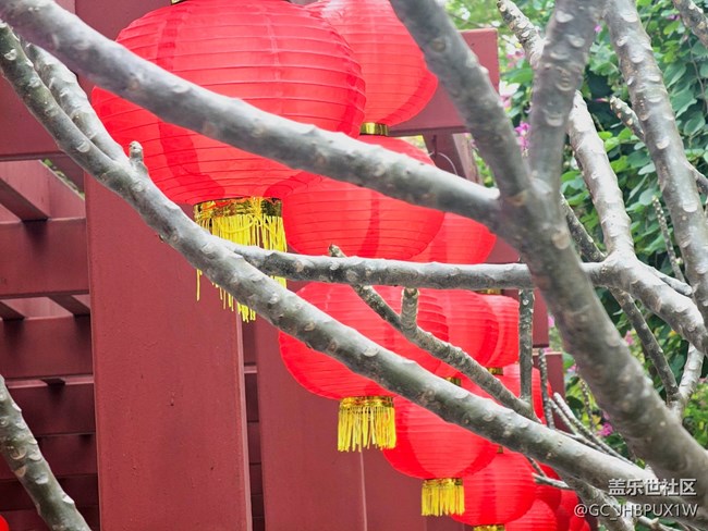 【春节符号】 红灯笼