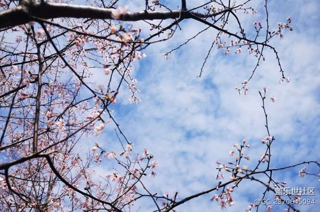 【旅途瞬间志】黄梅一日游