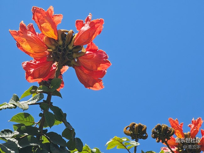 【春节符号】节日里