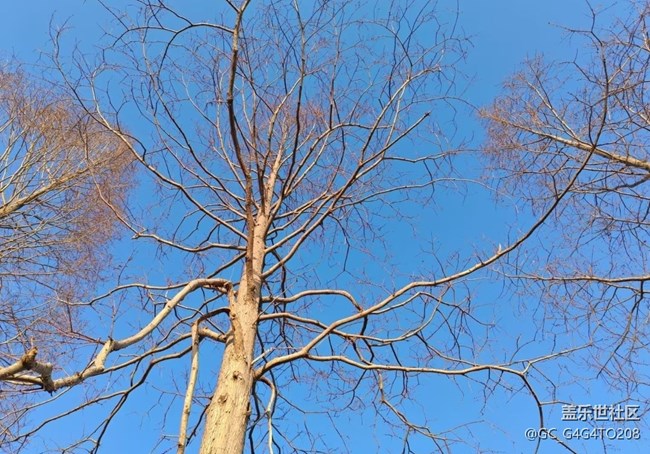 【旅途瞬间志】田间地头