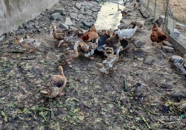 【旅途瞬间志】田间地头