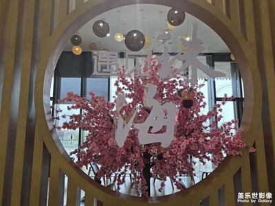 【光影一刻】整个广东都下雨了,只能待博物馆