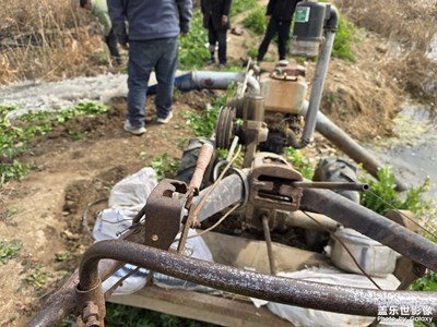 快乐还是这种快乐只是我们长大了