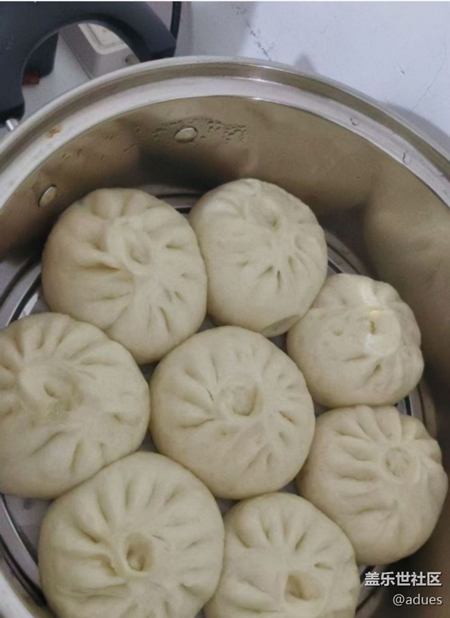 【人间知春味】酸菜馅包子