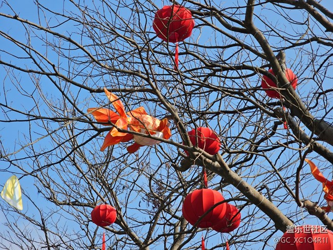 【我身边的年俗】新年新气象