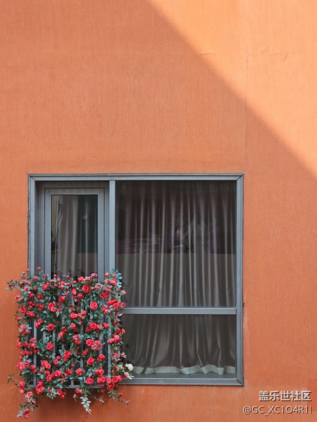 【福满新岁】新年