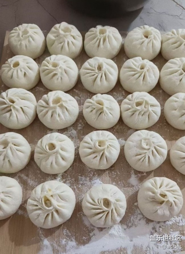 【人间知春味】酸菜馅包子