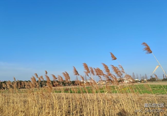 【旅途瞬间志】田间地头