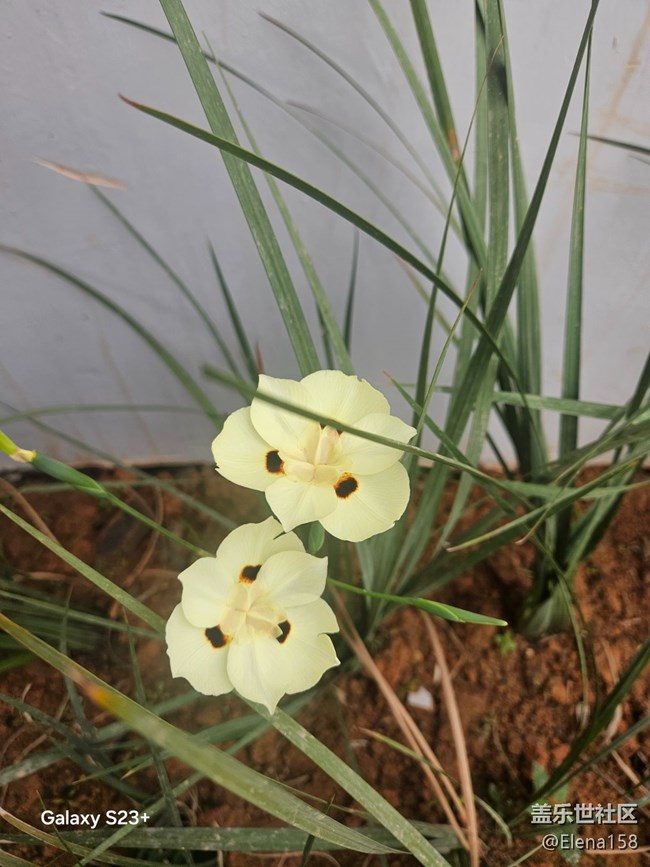 【旅途瞬间志】河边惊喜