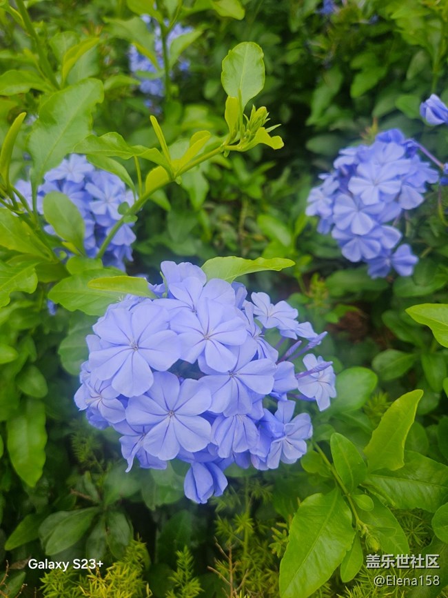 【旅途瞬间志】河边惊喜