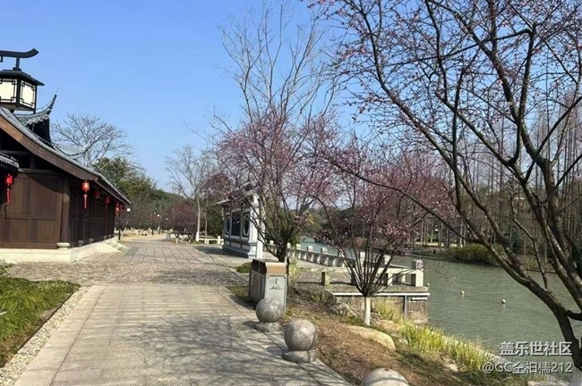 【旅途瞬间志】探春