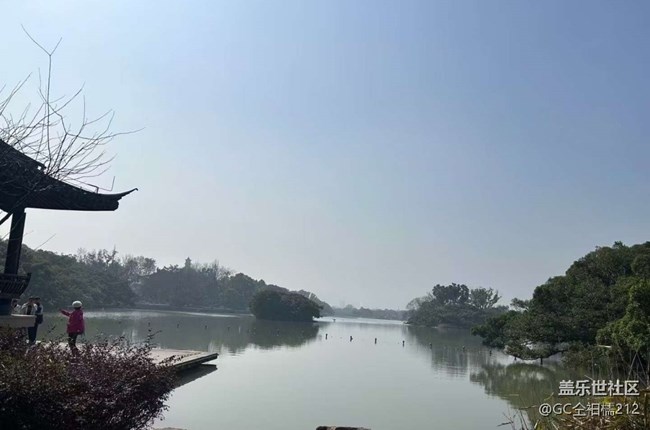 【旅途瞬间志】探春