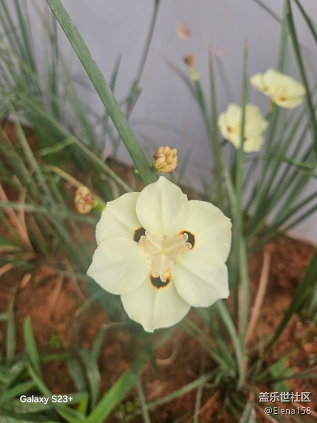 【旅途瞬间志】河边惊喜