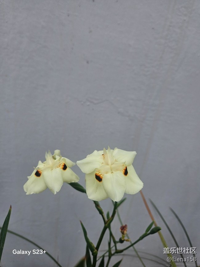 【旅途瞬间志】河边惊喜