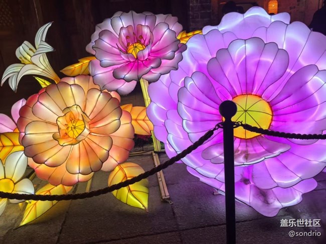 【旅途瞬间志】看花灯