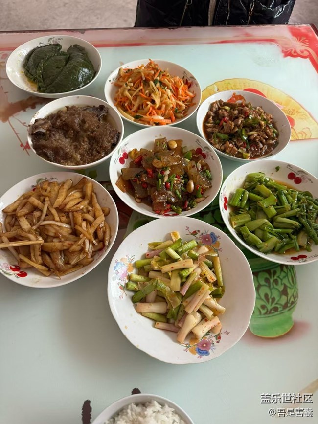 【人间知春味】家庭煮夫