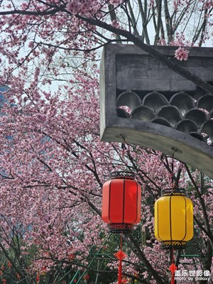 【光影一刻】+春日