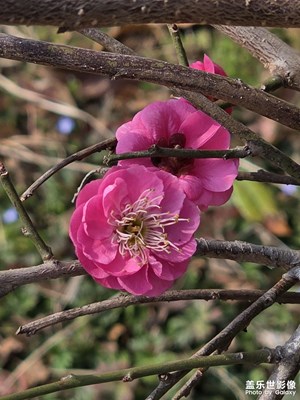 新的一年,新的希望