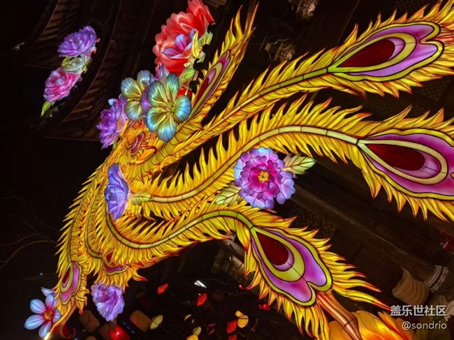 【旅途瞬间志】看花灯