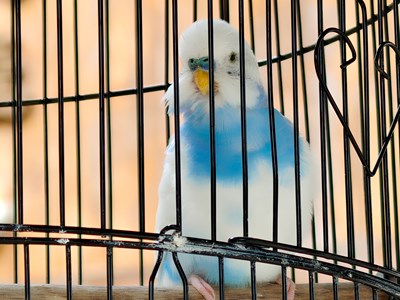 【光影一刻】景德镇随拍